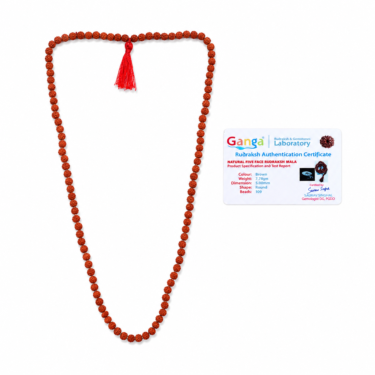 Natural 5 Mukhi Rudraksha Japa Mala (108+1 Beads) – Certified Five Face Rudraksha Prayer Mala - Image 4