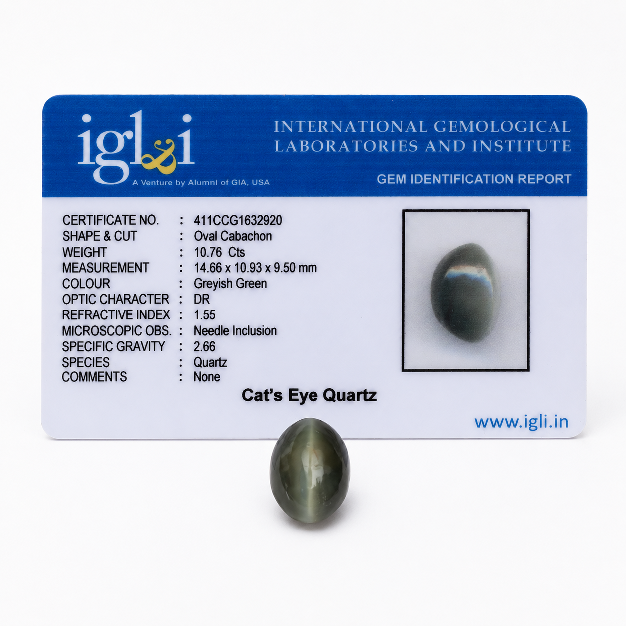 Natural Cat's Eye Quartz (Lehsunia) 10.76 Carats - Certified Oval Cabochon Greyish Green Quartz Gemstone - Image 4