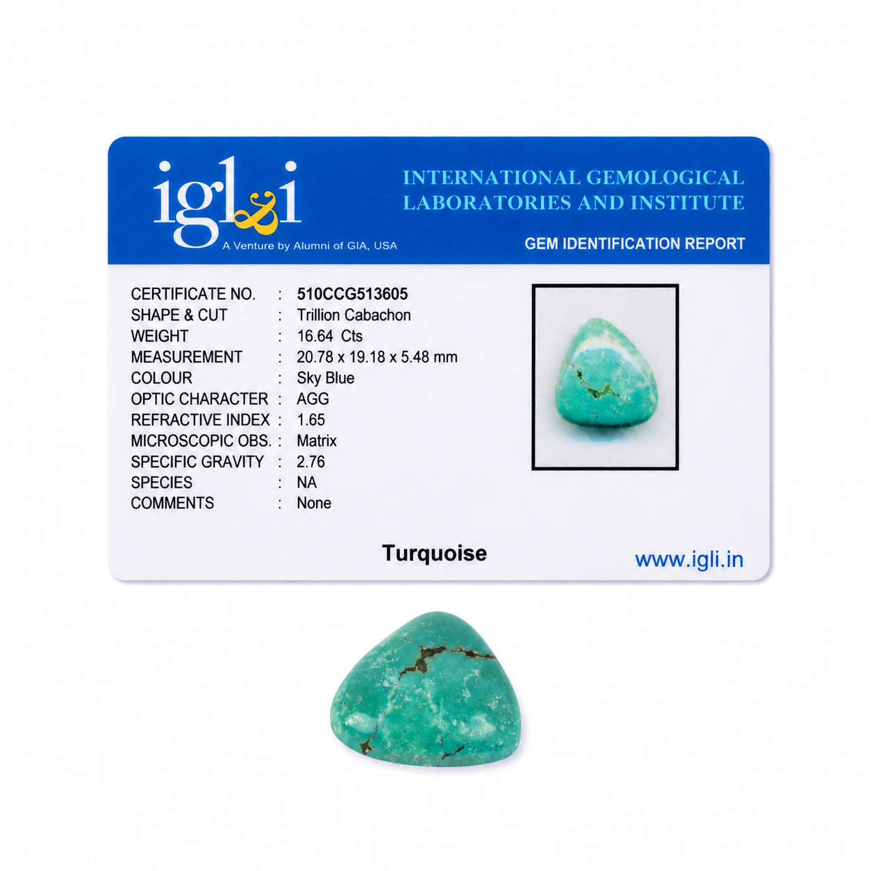 Premium 16.64 Cts Certified Natural Turquoise (Firoza) Trillion Cabochon - Image 3