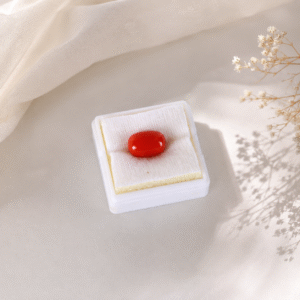 Natural Red Coral (Moonga) Oval Cabochon Gemstone | Certified Astrological Gemstone
