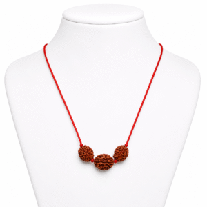 Natural 3 Mukhi Rudraksha Bracelet | Sacred Red Thread | Original Nepali/Indonesian Rudraksha (Specify Origin)