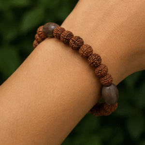 Dark Wood & Rudraksh Bracelet | 8 Carats | Natural Wood & Rudraksh Beaded Bracelet